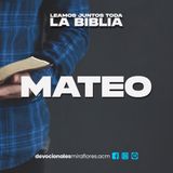 Mateo 28