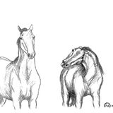 Odc.130 Zdrowe granice