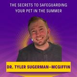 The Secrets to Safeguarding Your Pet in the Summer