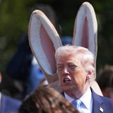 Trump di fronte alla crisi di fiducia