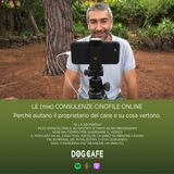 #040 - Le (mie) consulenze cinofile online.