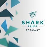 The World of Shark Conservation! with Paul Cox