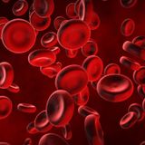 Rapid growth of blood cancer driven by a single genetic 'hit'