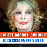 Brigitte Bardot, Curiosità: Ecco Cosa Fa Per Vivere!