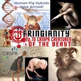 Ep,70 CRISPR CREATURES OF THE BEAST