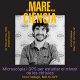 EP06: Microscòpia i GPS per estudiar el trànsit de les cèl·lules