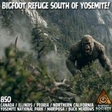 We Found the Nursery. And They Knew We Did. | Yosemite National Park