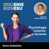 Ilona Sodolska - Psychologia kolorów w biznesie