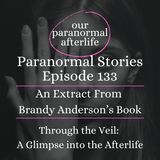 Paranormal Stories | Amazing Afterlife Communication