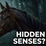 Horse Facts So Soothing They Guarantee Deep Sleep
