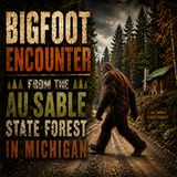 BIGFOOT ENCOUNTERS FROM MICHIGAN'S AU SABLE FOREST | AN ARCHERY HUNTER AND A REMOTE CABIN
