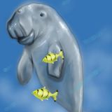 The Weekly Inspiration - The Dugong