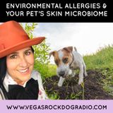 Your Pet's Skin Microbiome And Environmental Allergies