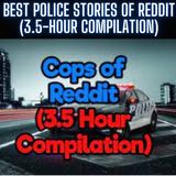 Best Police Stories of Reddit (3.5-Hour Compilation)