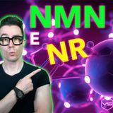 I NAD Booster NMN e NR: le basi per non Invecchiare!