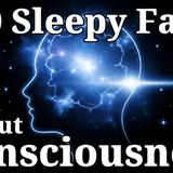 100 Most Relaxing Facts About Sleep to Fall Asleep To