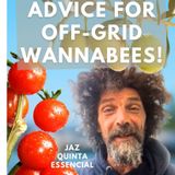 Seasoned Portugal Off-Gridder Has Great Work-Life Balance Advice For Newcomers #YourHomeInPortugal