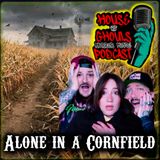 Alone in a Cornfield