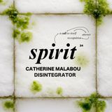 34. Spirit (w/ Catherine Malabou)