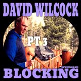 David Wilcock Blocking PT 3 w. Mike D (11/14/25)