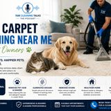 Best Carpet Cleaning Near Me for Pet Owners Fresh, Clean Carpets