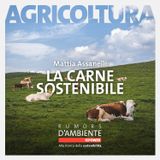 Mattia Assanelli - La carne sostenibile