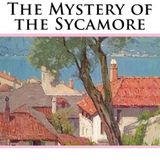 The Mystery of the Sycamore by Carolyn Wells | Full Audiobook | Audiobook Time