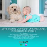 #017 - Come gestire l'arrivo di un cane a casa in presenza di un bambino