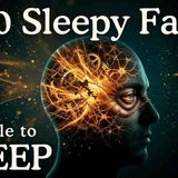 Why Do You Struggle to Sleep _ Sleep Science