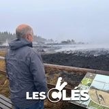 L’été brûlant (2/4) : Hautes Fagnes, chronique d'un désastre annoncé