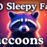The Most Relaxing Facts About Raccoons to Fall Asleep To _ No Adverts