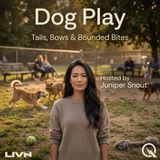 Dog Play - Rainy Day Recess: Indoor Games That Tire Out Any Dog
