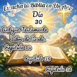 Escucha la Biblia en un año - Día 30