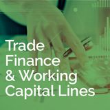 Trade Finance & Working Capital Lines
