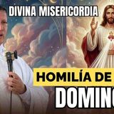 Jesús en ti confío  DOMINGO DE LA DIVINA MISERICORDIA HOMILÍA DE HOY  PADRE LUIS TORO