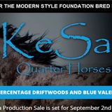KESA-Quarterhorses