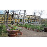Orto Botanico “Giardino dei Semplici” di Firenze (Toscana)