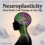 Neuroplasticity - The Paths You Walk Become the Roads You Travel