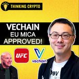 Why Dana White & the UFC Love VeChain's Vision For Web3! with Sunny Lu