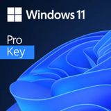 Windows 11 Key Talk - Episode 1 : The real risks and experiences of buying cheap Windows 11 keys