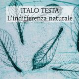 Italo Testa "L'indifferenza naturale"