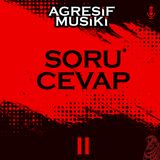 Soru Cevap II