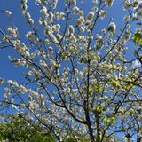 Il contratto di agenzia