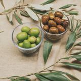 Noticias del sector: Los exportadores de aceitunas de mesa rechazan al acuerdo UE-Mercosur