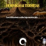 NUESTRO OXÍGENO-Hormigas y termitas- La civilización oculta bajo nuestros pies