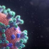 Coronavirus-What's Going on? PART 2