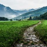 Le strade panoramiche più spettacolari del mondo un viaggio attraverso i paesaggi più mozzafiato