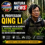 La foresta può rafforzare il sistema immunitario: ecco come