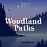 Woodland Paths: South Rain & Spring Dawn