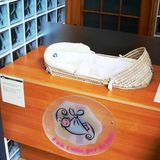 Culla per la vita malvista perchè ostacola l'aborto